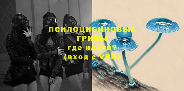 индика Абаза
