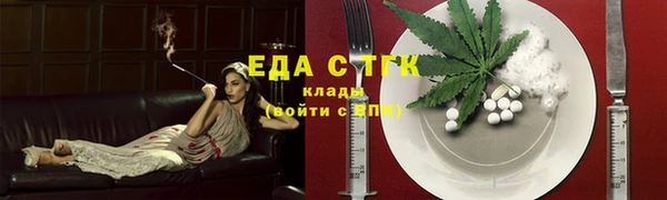 индика Абаза