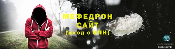 индика Абаза