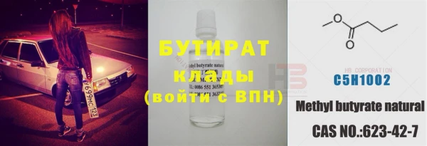 индика Абаза