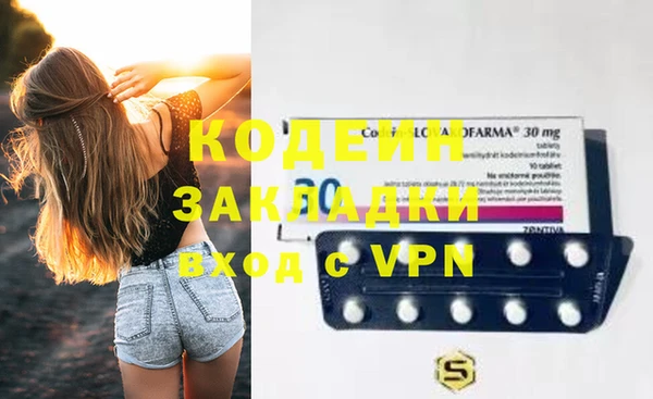 индика Абаза