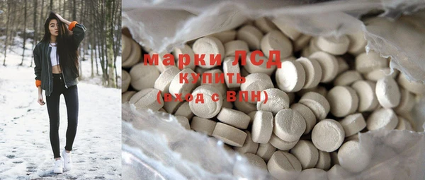 индика Абаза