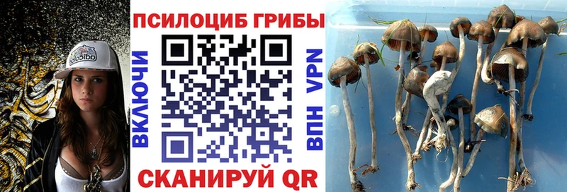 Галлюциногенные грибы прущие грибы  Катайск 